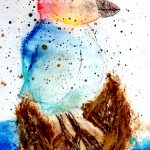 colibri tout rikiki