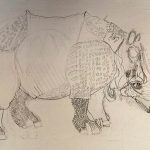 Le Rhinocéros de Dûrer dessiné par des enfants