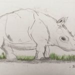 Le Rhinocéros de Dûrer dessiné par des enfants