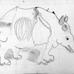 Le Rhinocéros de Dûrer dessiné par des enfants